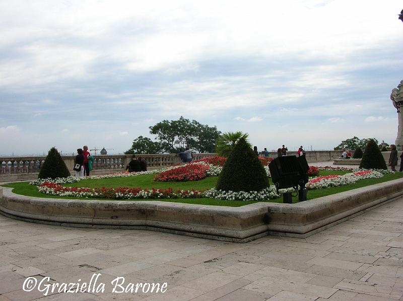 particolare giardino.JPG